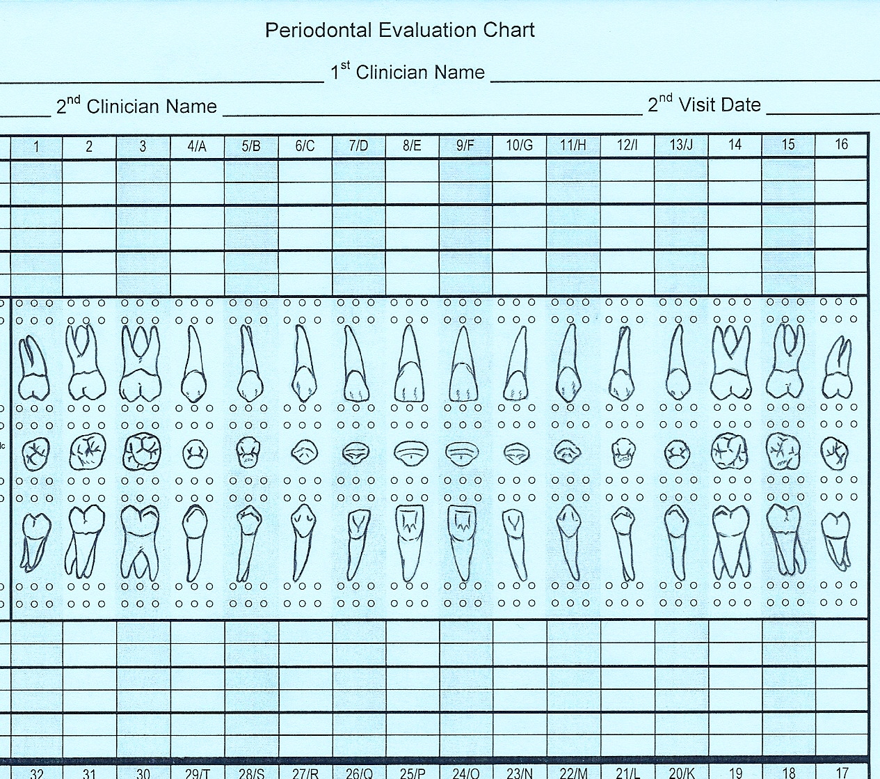 Periodontal Chart Printable